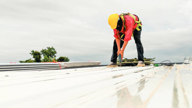Best Roof Moss and Algae Removal  in Union City, MI